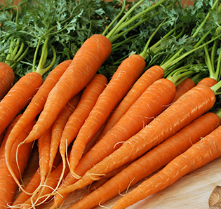 Carrots-onus-exports-india