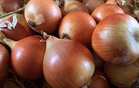 onion-onus-exports-india